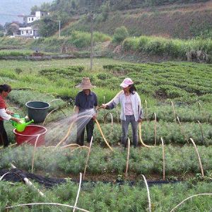 如何辨別優(yōu)劣復(fù)混肥